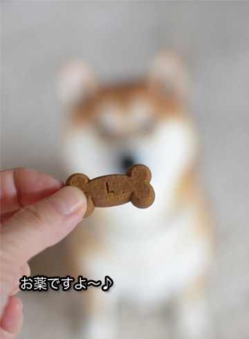 30日ブログ3.jpg