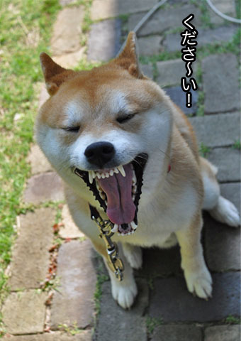 29日ブログ9.jpg