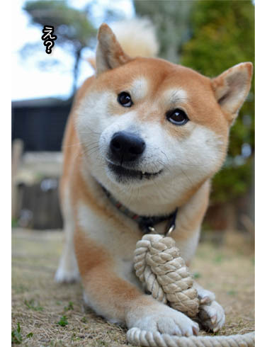 22日ブログ14.jpg
