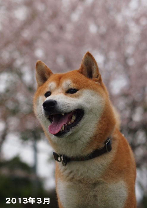9日夕ブログ５