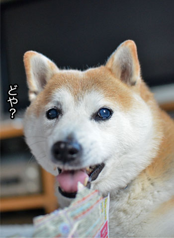 19日ブログ10.jpg