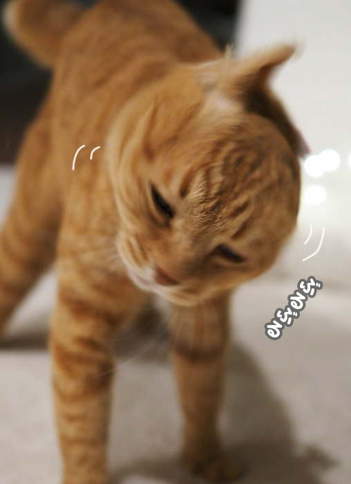23日夕ブログ６