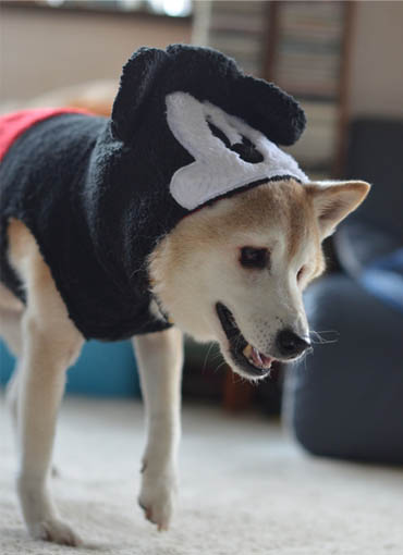 25日ブログ4.jpg