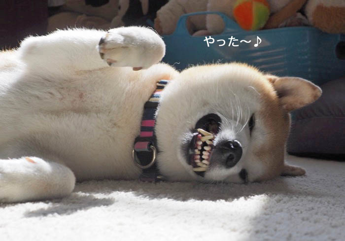 19日ブログ４