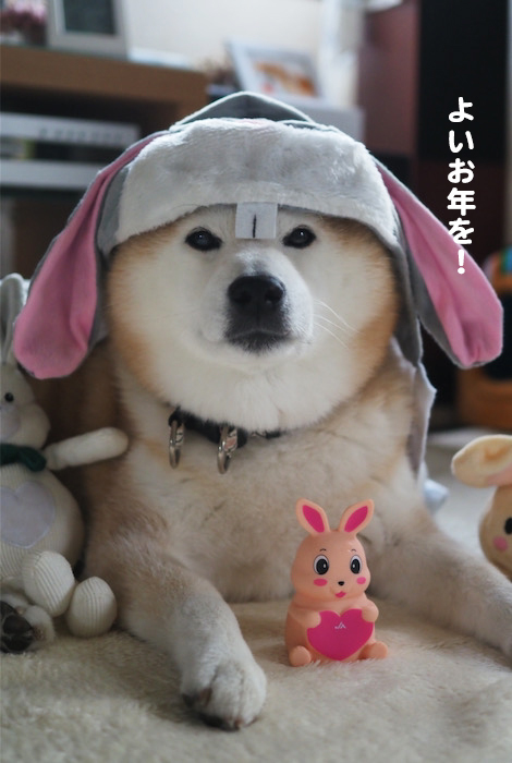 31日夕ブログ５