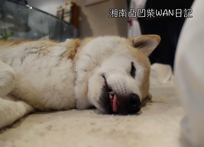 27日ブログ4