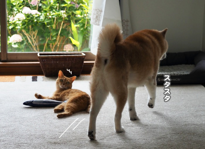 5日夕ブログ２
