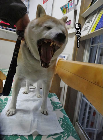 31日ブログ3.jpg