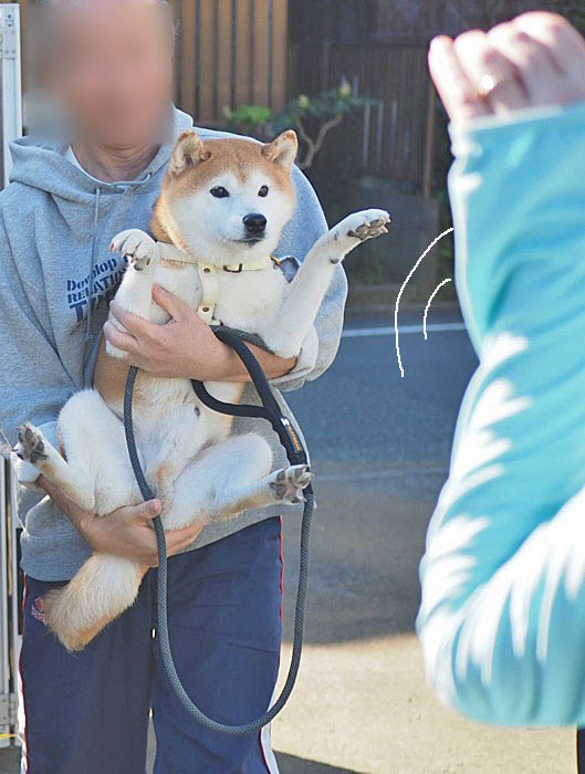 7日ブログ５