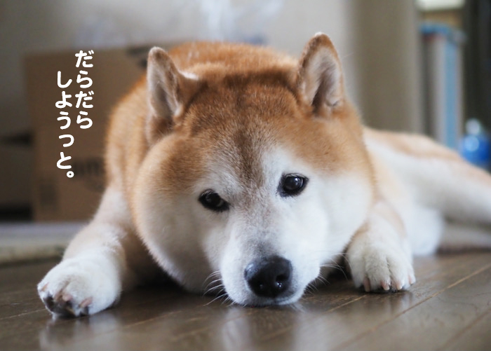 21日夜ブログ４