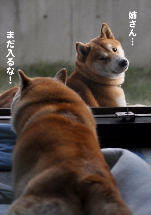 11日ブログ８