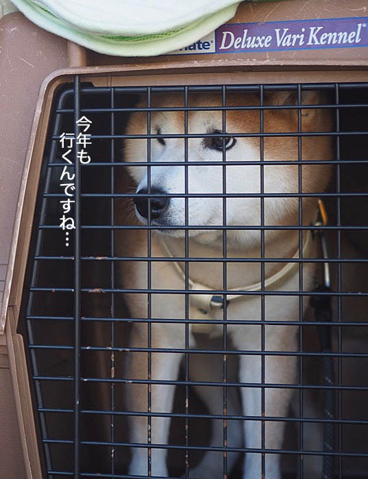 10日ブログ５