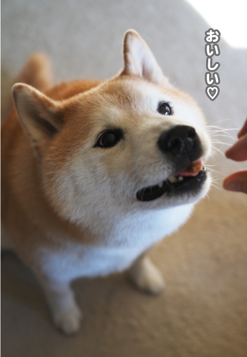 8日夜ブログ５