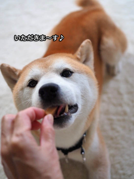 8日午後ブログ４
