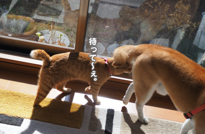 20日ブログ３