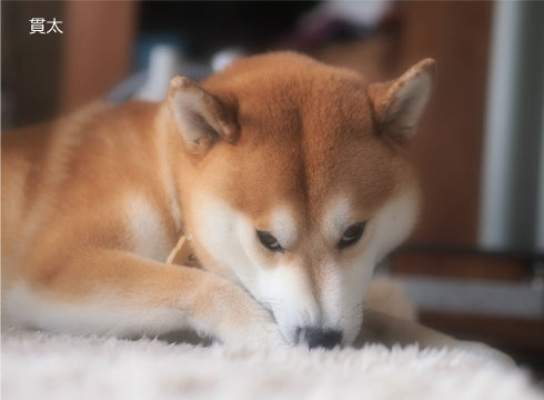 29日ブログ8.jpg