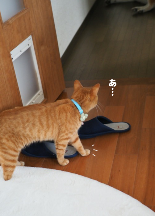 4日夕ブログ８