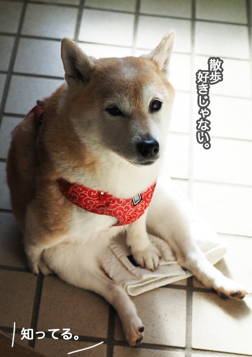 20日夜ブログ４