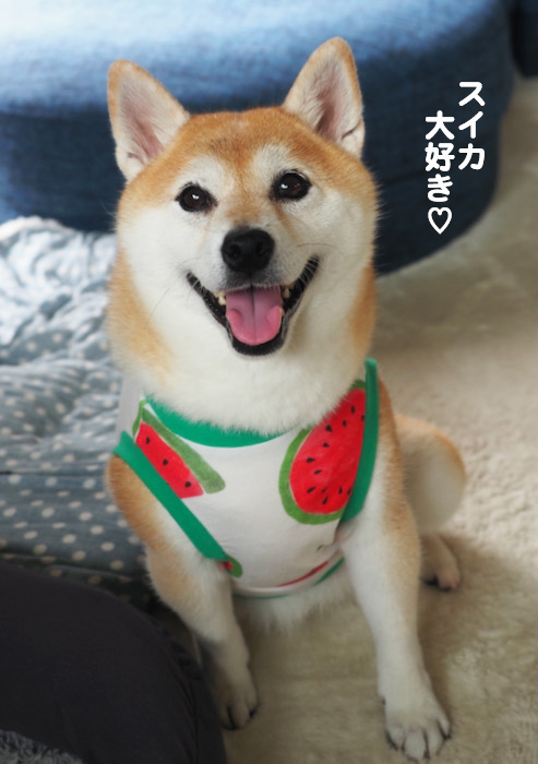20日夜ブログ６