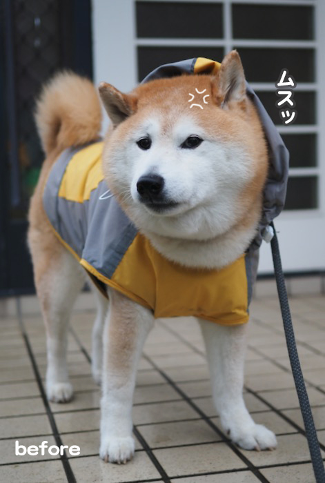 16日夕ブログ３
