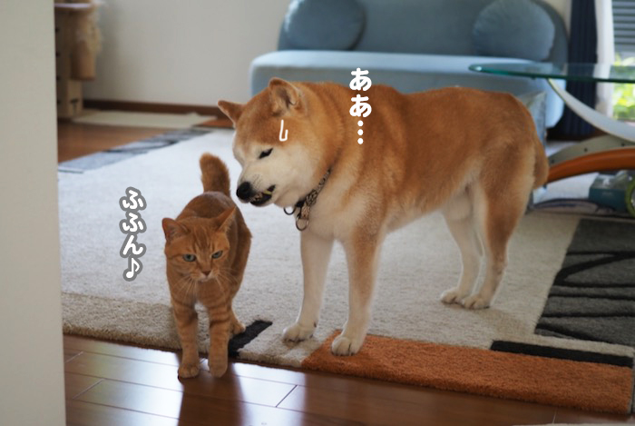 12日夕ブログ5