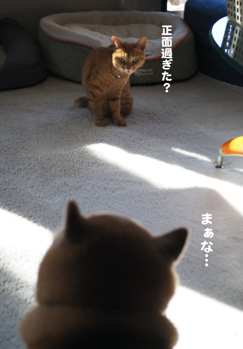 25日ブログ２