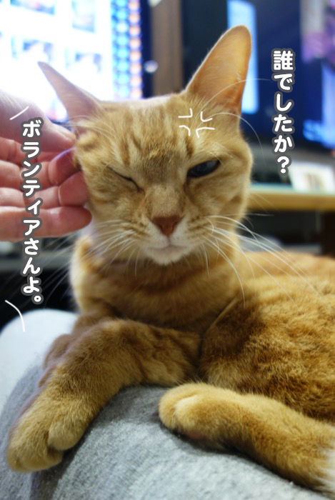 19日の夕ブログ１０