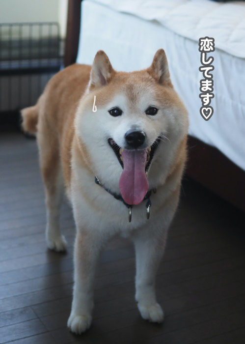 17日夕ブログ10