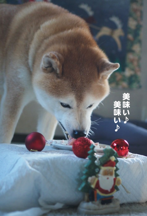 26日夕ブログ１１