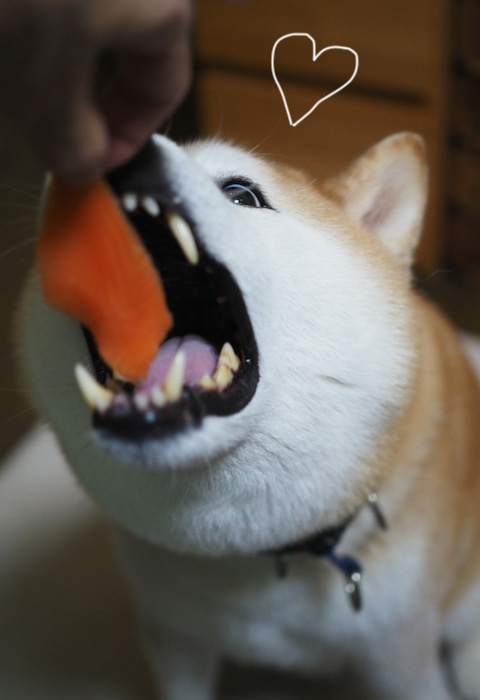 30日夜ブログ14