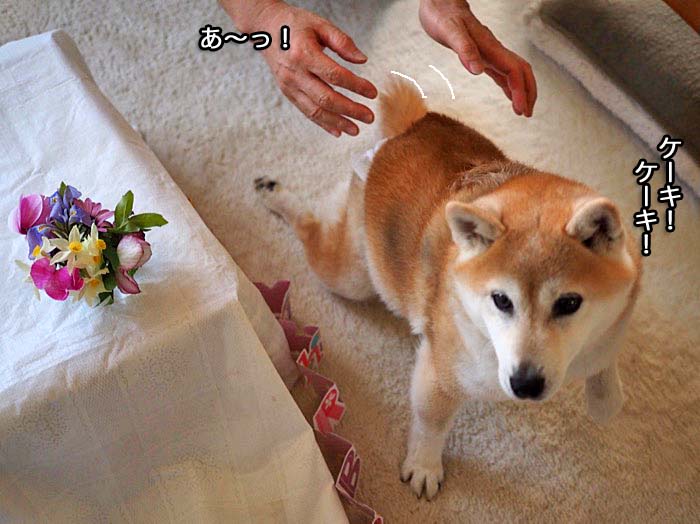 3日午後ブログ８