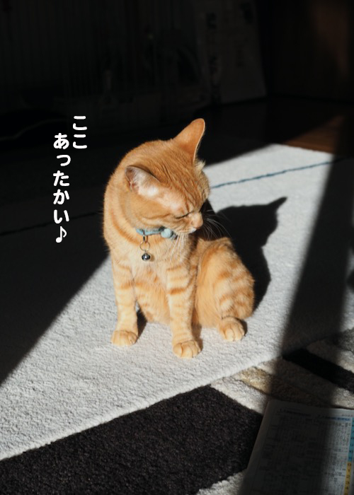 5日ブログ２