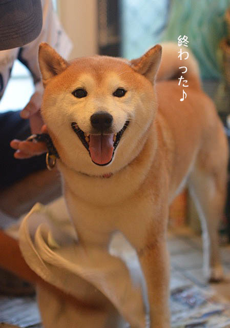 28日ブログ14