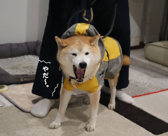 7日ブログ８