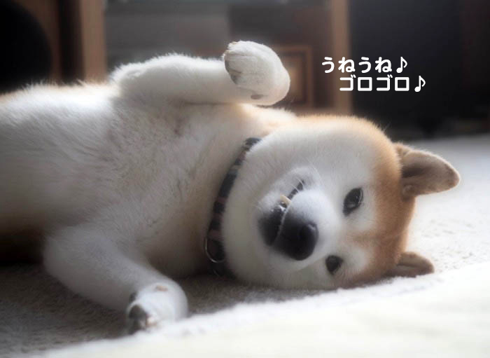 3日夜ブログ２