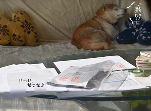 24日ブログ2.jpg