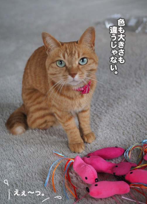 21日夕ブログ8