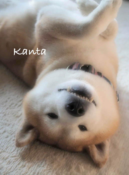 21日夜ブログ４