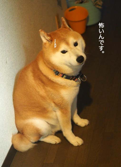 24日夕ブログ２