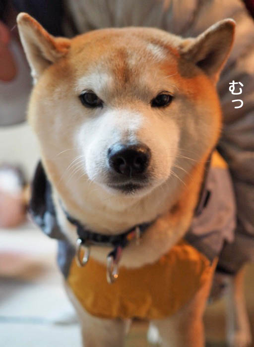 12日夜ブログ２
