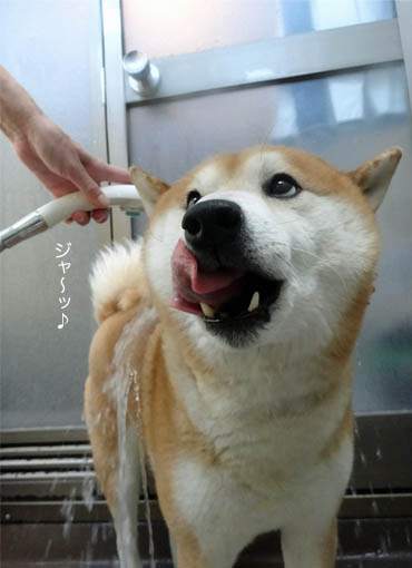 18日ブログ８.jpg