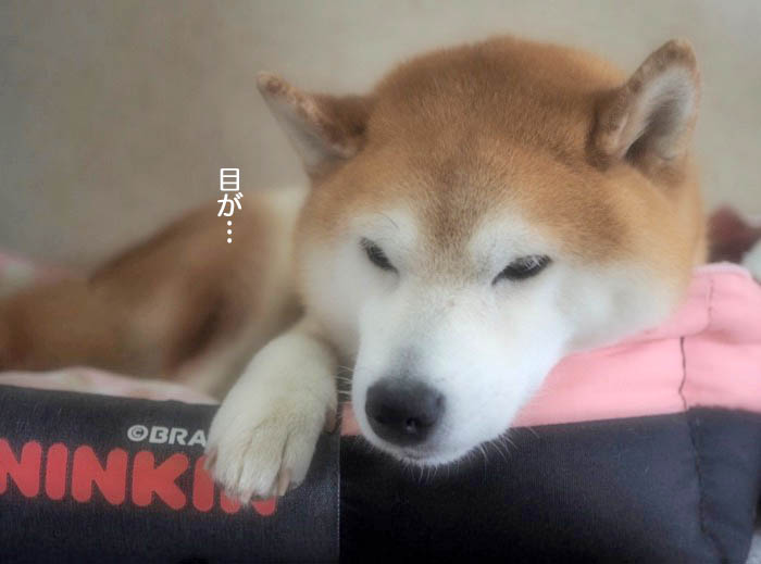 5日ブログ４