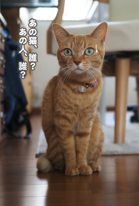 16日夕ブログ2