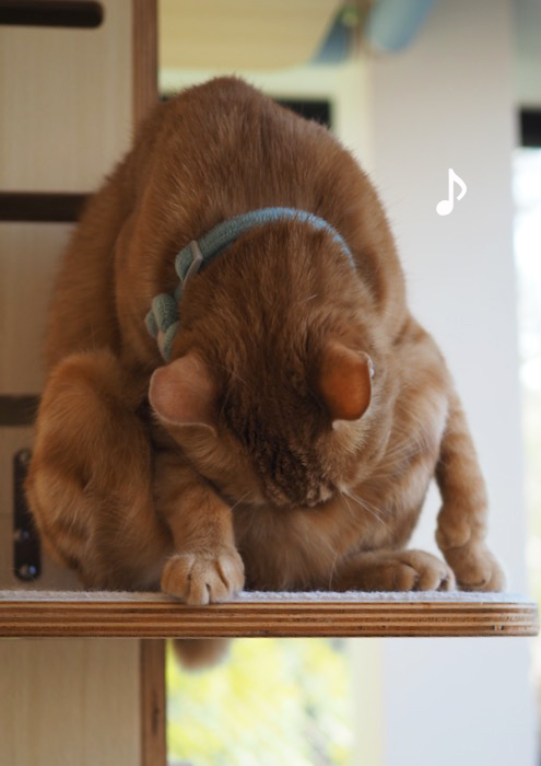 27日ブログ２
