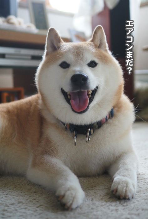 2日ブログ３
