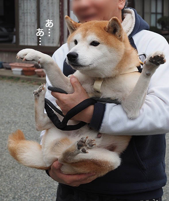 27日ブログ5