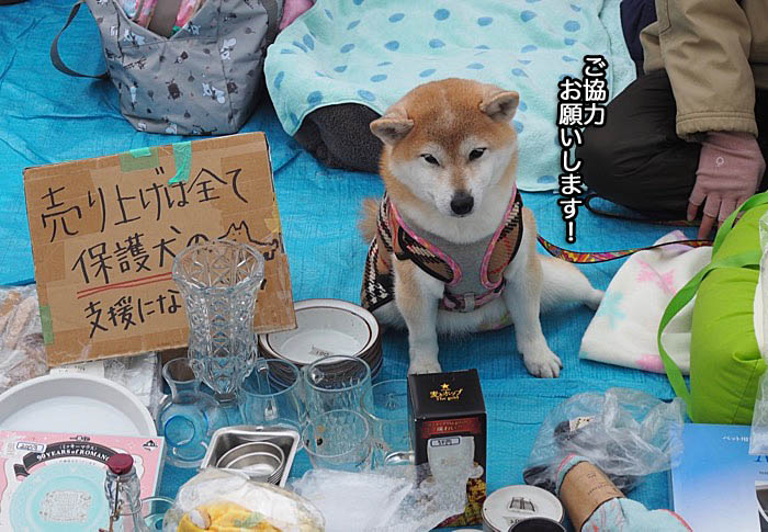 14日ブログ７