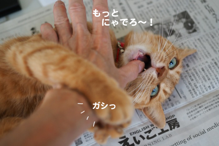 30日ブログ７