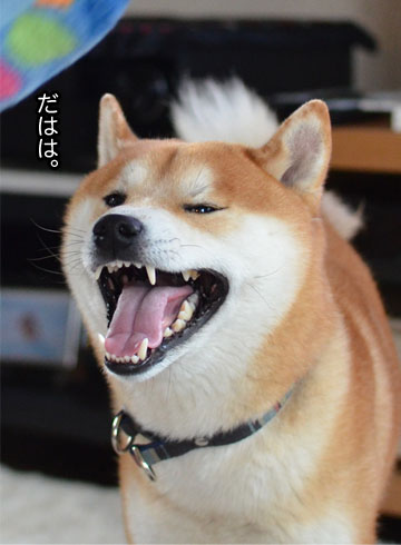 6日ブログ8.jpg