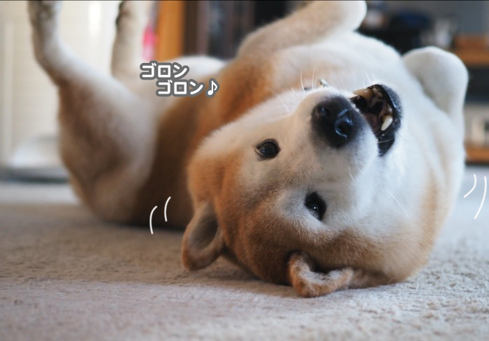 23日夕ブログ５